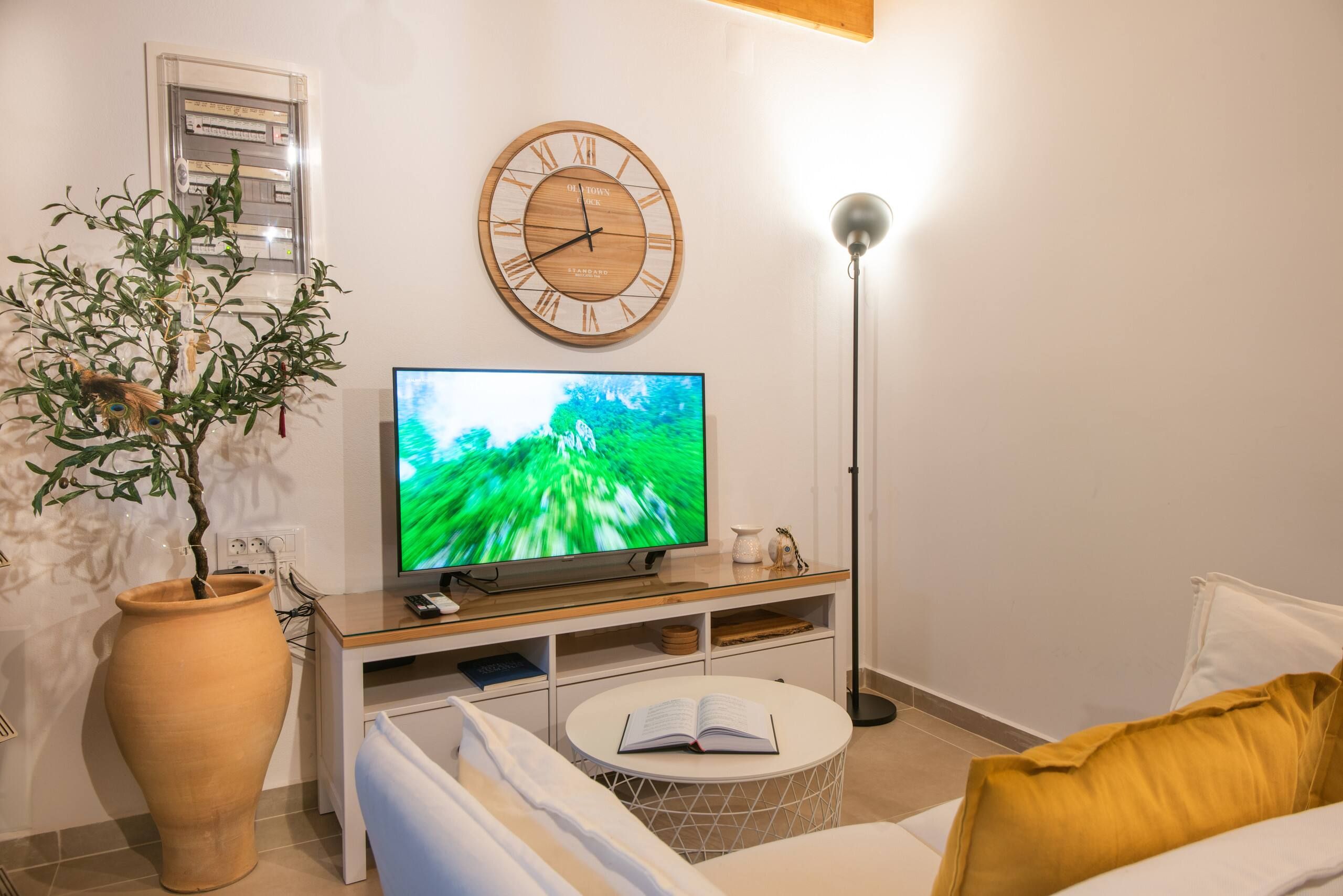 Sofa, olive tree in a jar, clock and TV